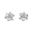 Brincos Hot Diamonds Floret GE133