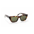 Óculos de Sol One Flirt Light Turtle OSHS4554TVC321H